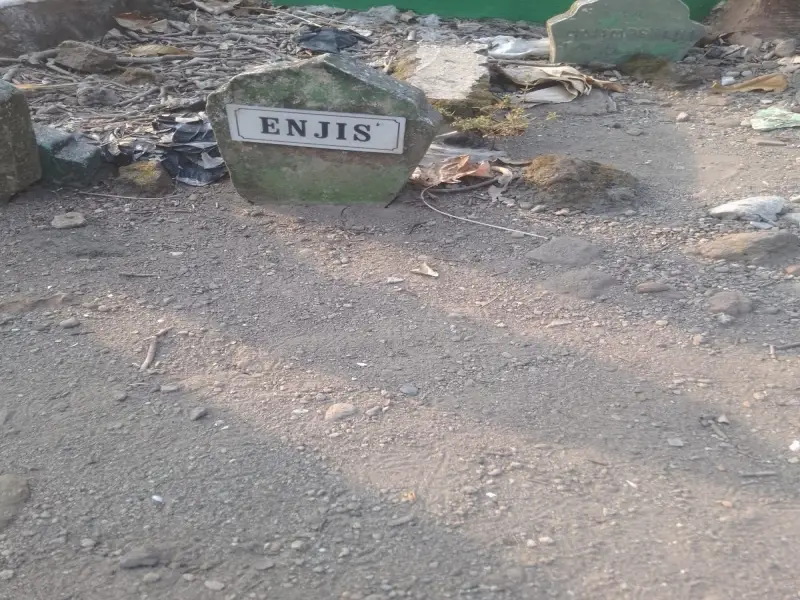 Enjis