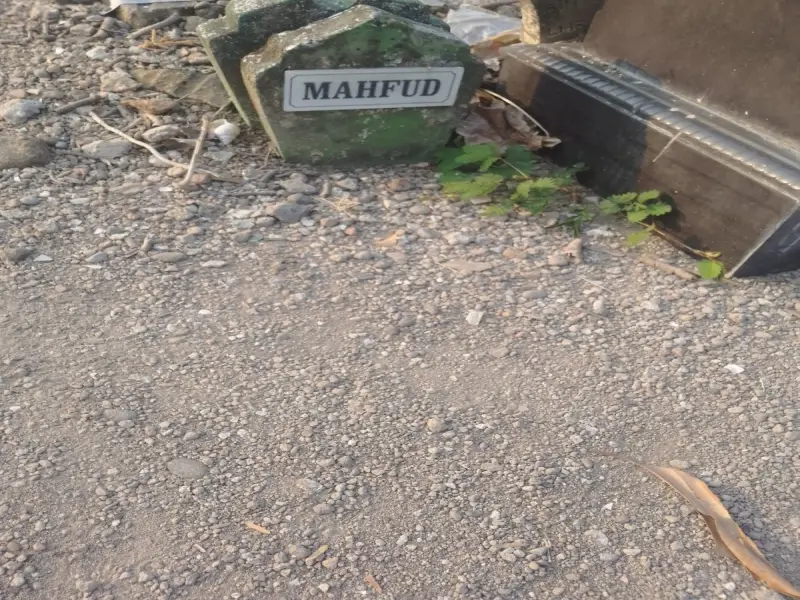 Mahfud