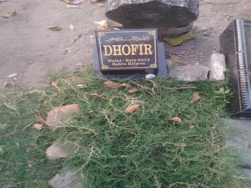 Dhofir