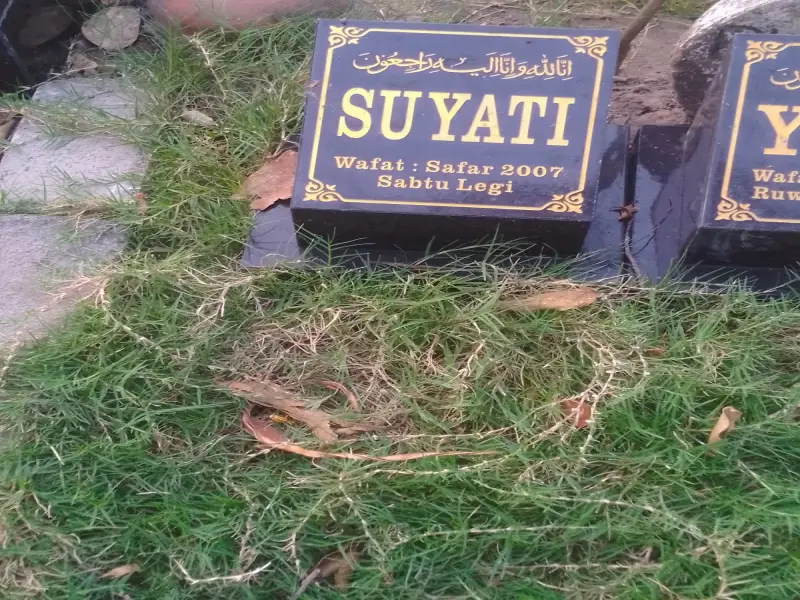 Suyati