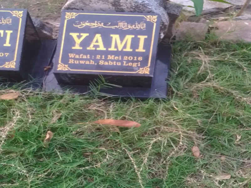 Yami