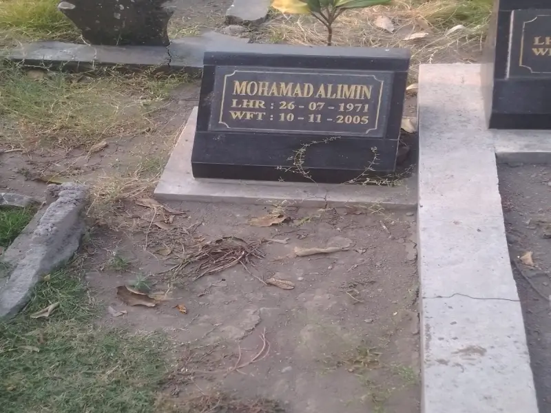 Mohammad Alimin