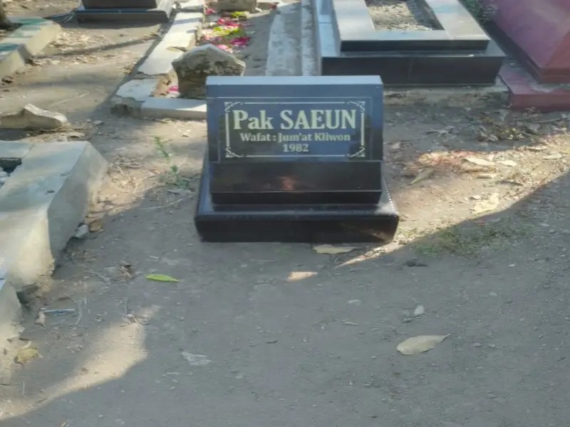 Pak Saeun