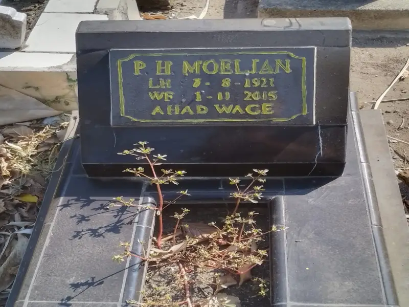P H MOELJAN