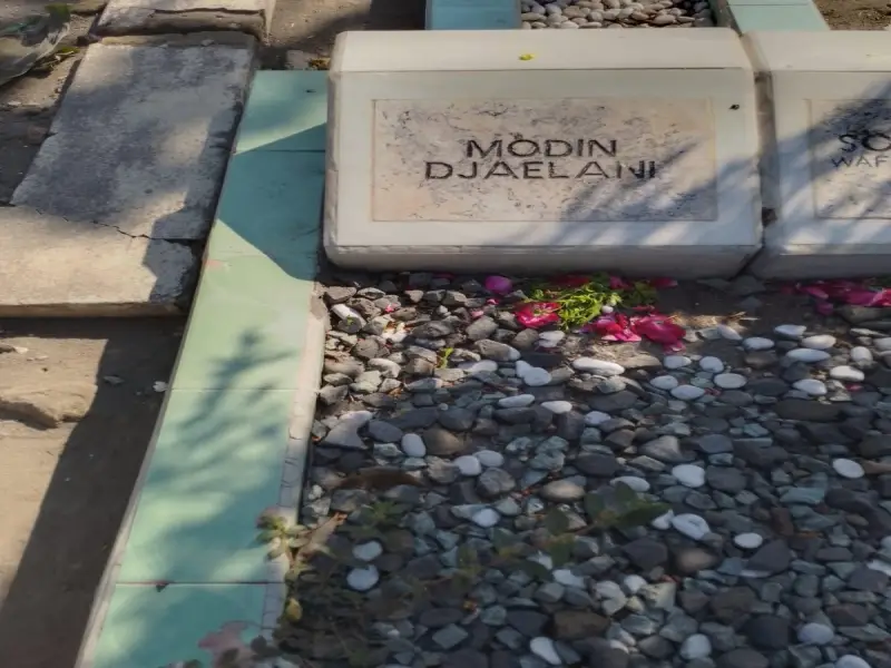 Modin Djaelani