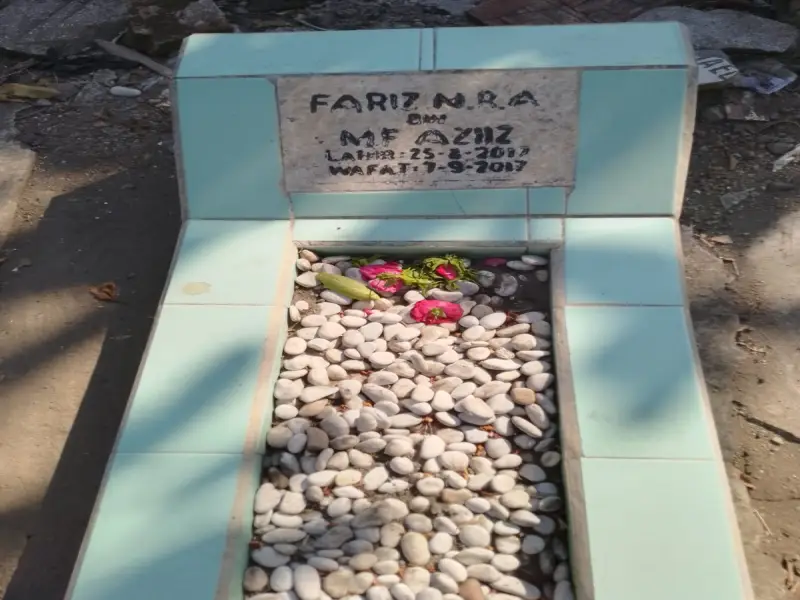 Fariz N.R.A