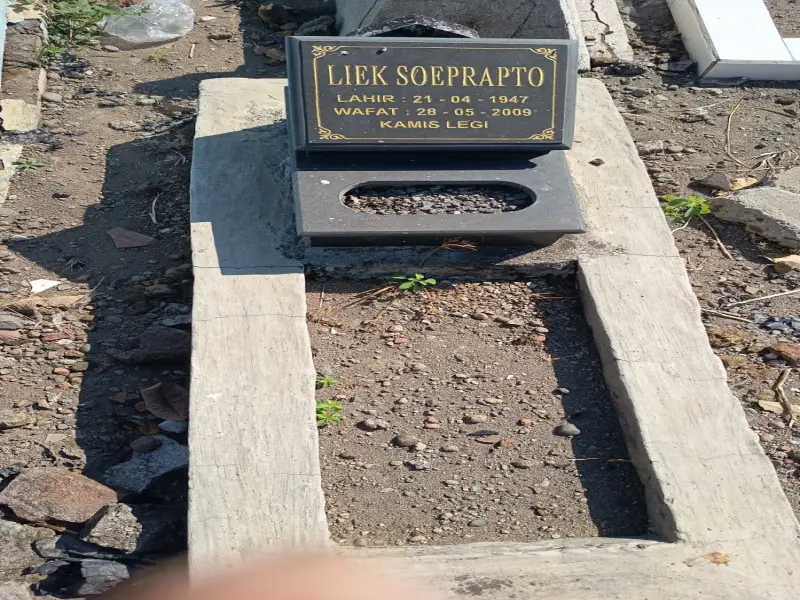 Liek Soeprapto