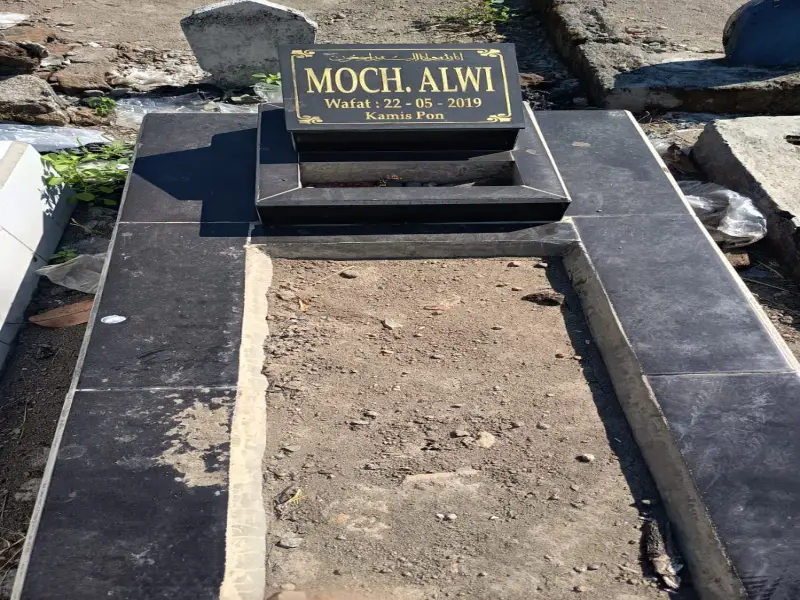 Moch. Alwi