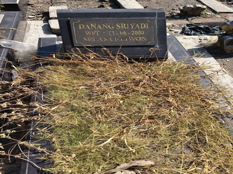 Danang Sriyadi