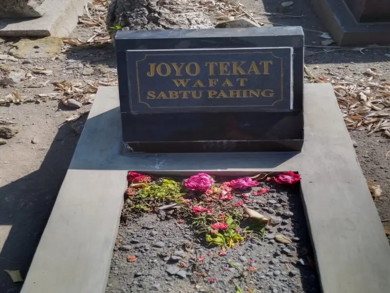 Joyo Tekat