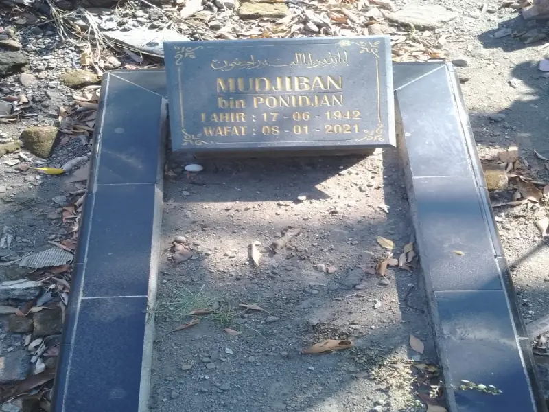 Mudjiban