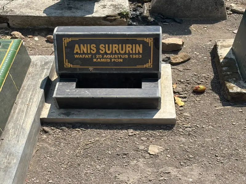 Anis Sururin