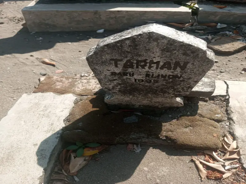 Tarman