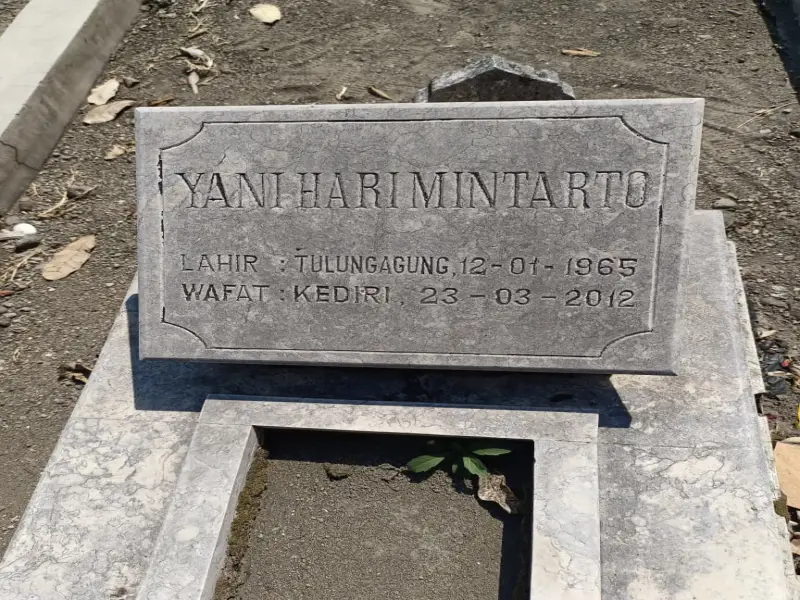yani hari mintarto