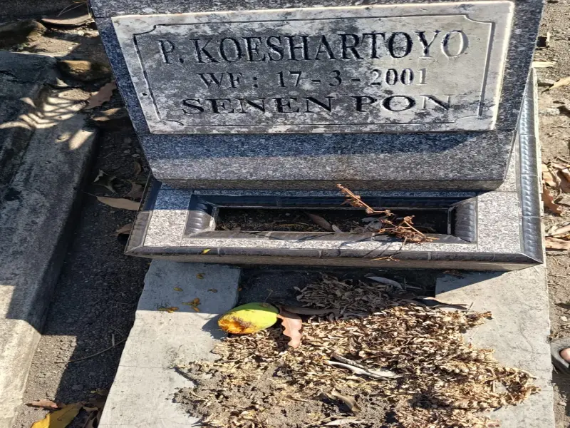 P. Koeshartoyo