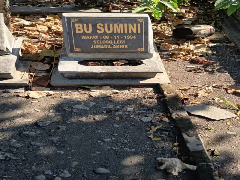 Bu Sumini