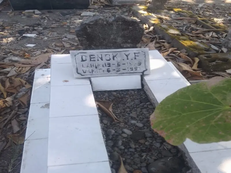 Denok.Y.F