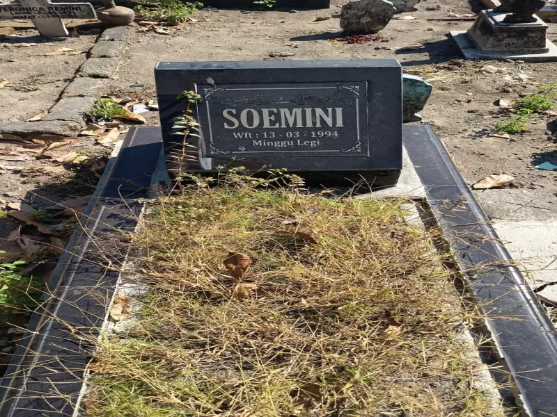 Soemini