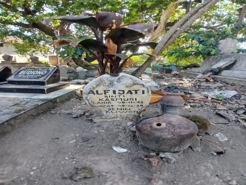 Alfijati