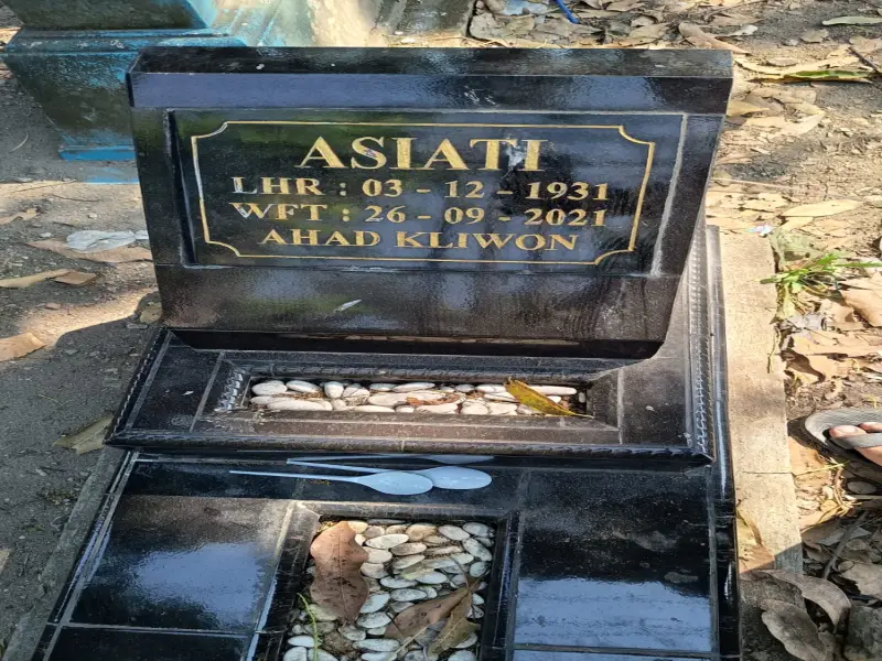 ASIATI