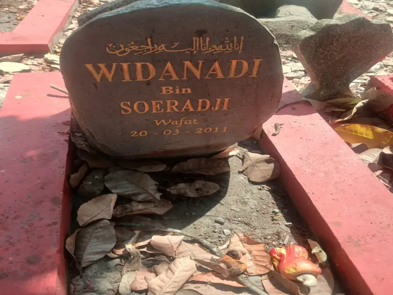 Widanadi