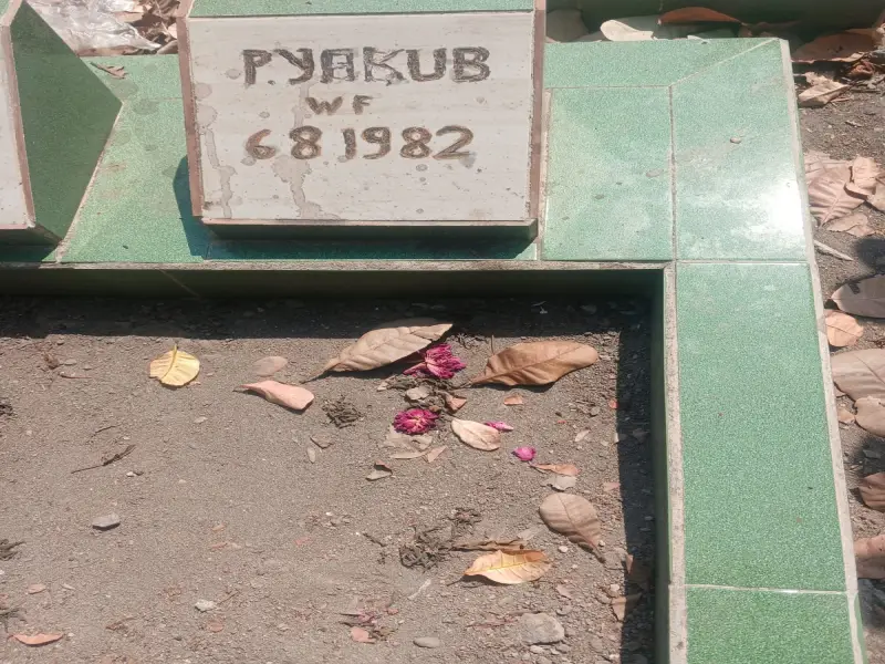 P. Yakub