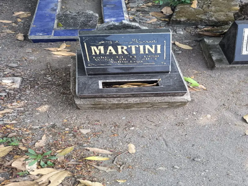 MARTINI