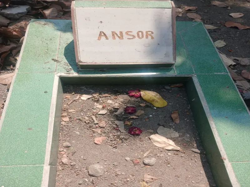 Ansor
