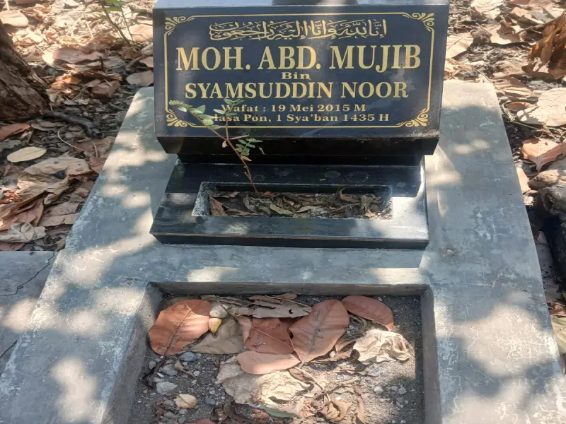 Moh. Abd. Mujib