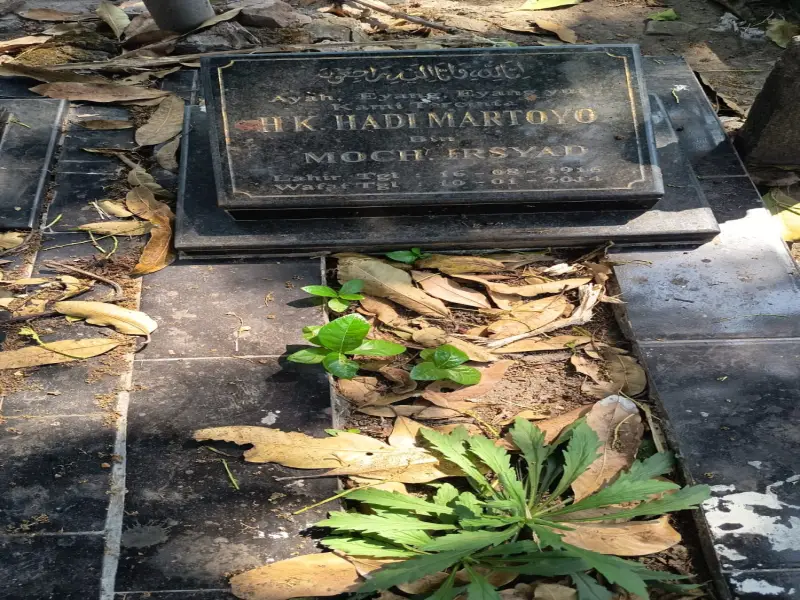 HK. HADI MARTOYO