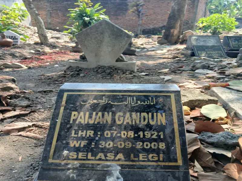 Paijan Gandun