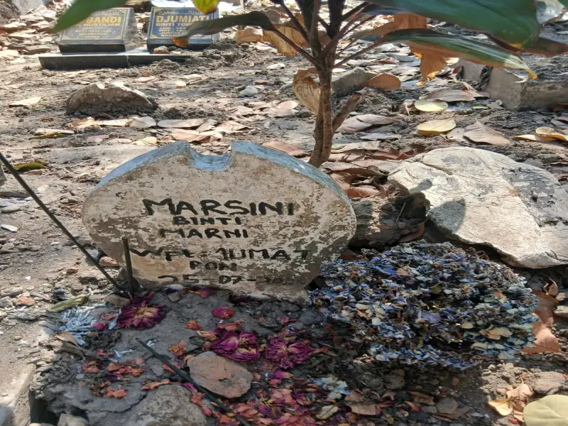 Marsini