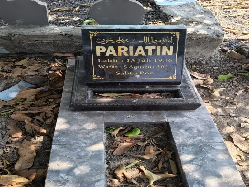 PARIATIN