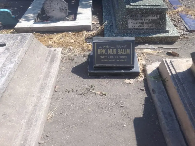 Nur Salim