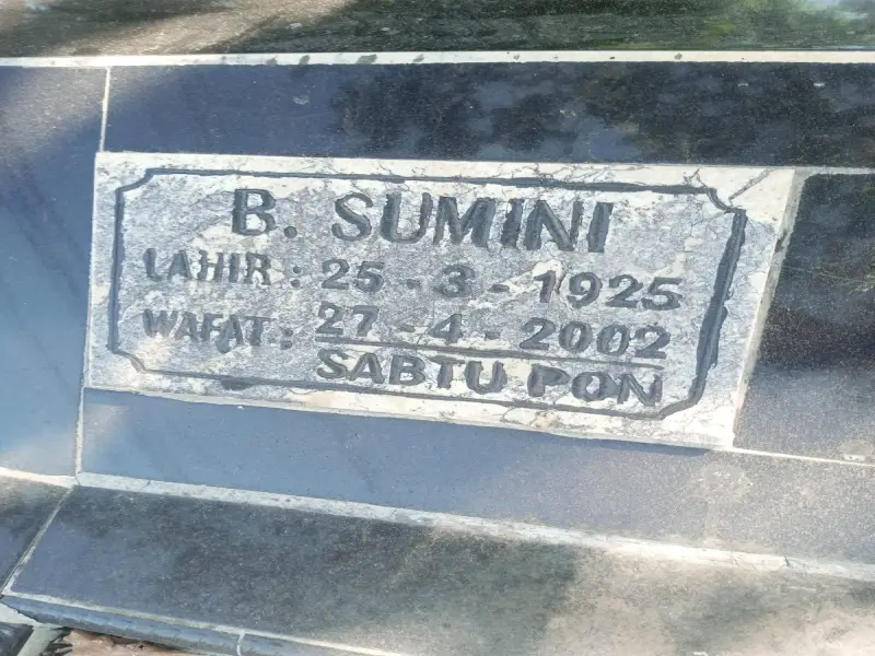 B. Sumini