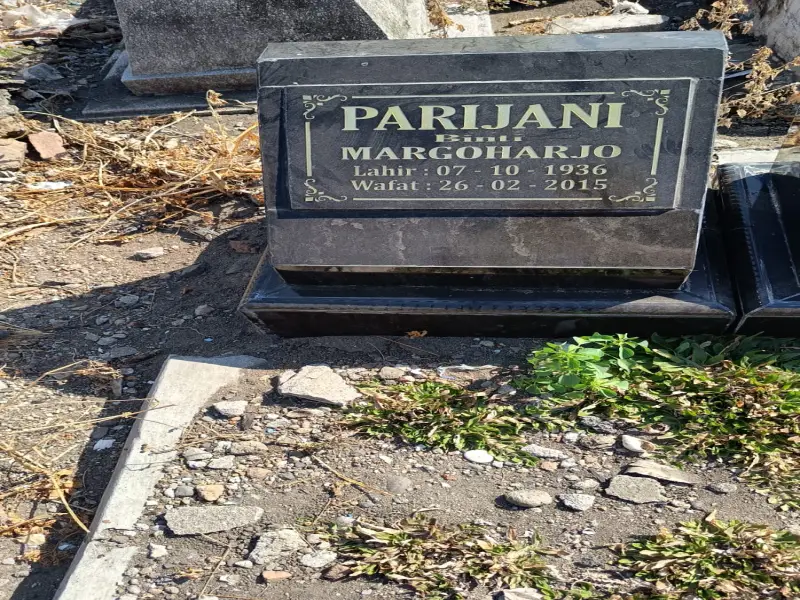 Parijani