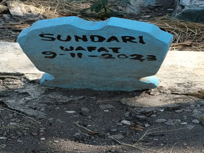 Sundari