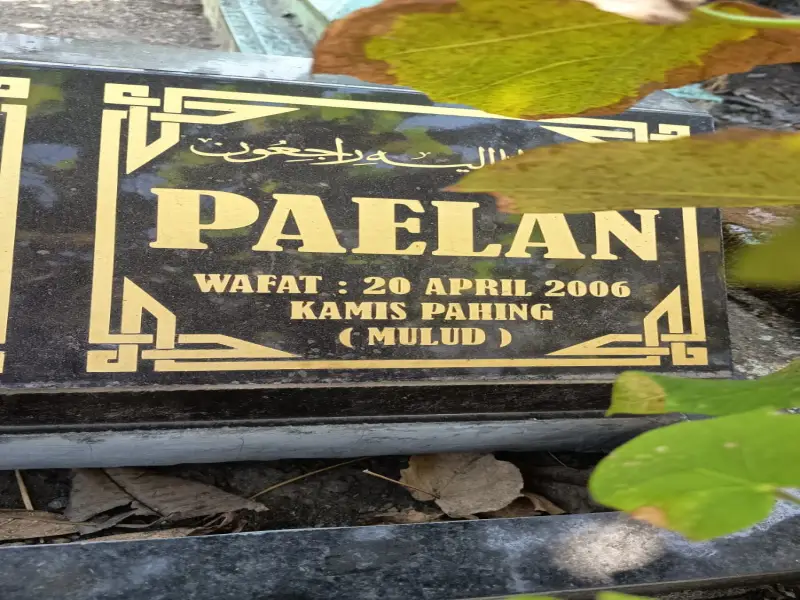 Paelan